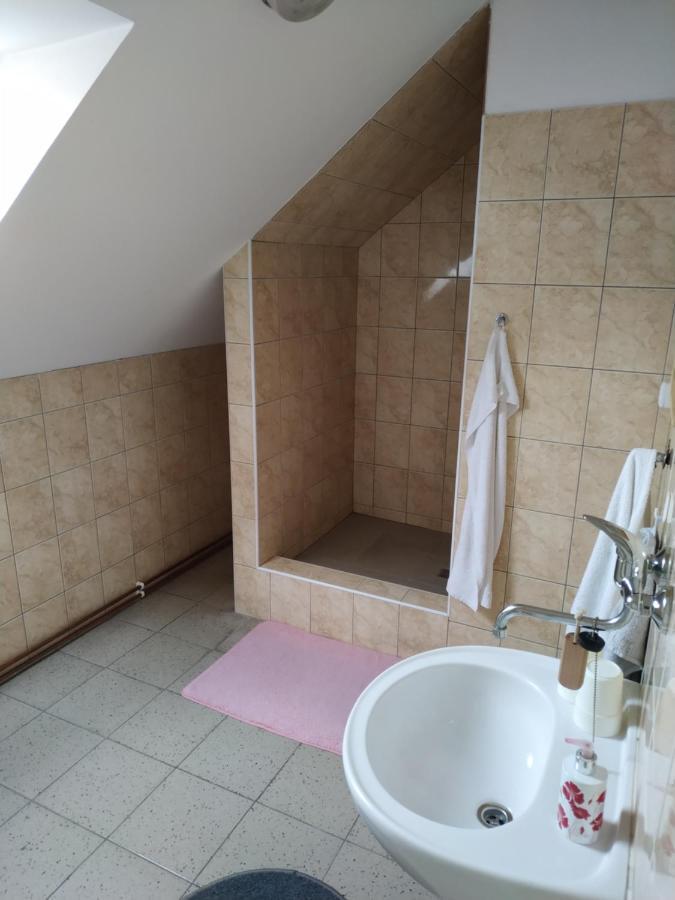Apartman V Anenskem Udoli Моравска-Тршебова Екстер'єр фото