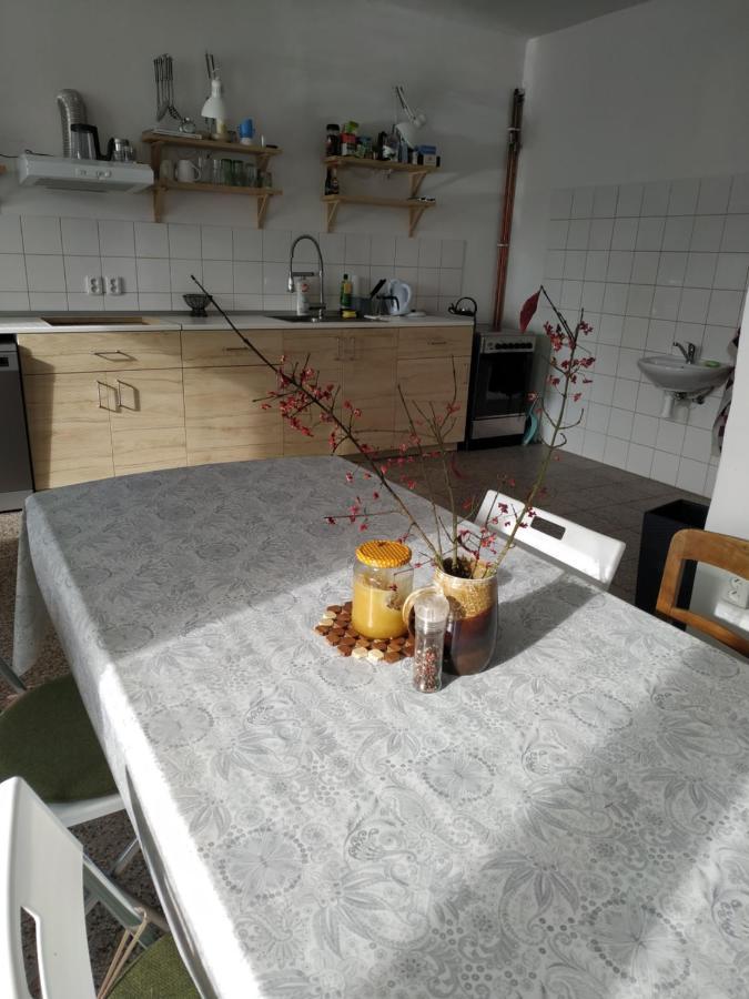 Apartman V Anenskem Udoli Моравска-Тршебова Екстер'єр фото